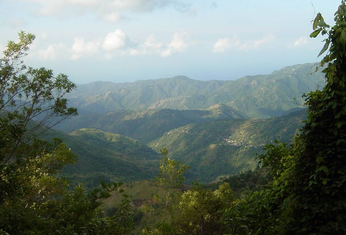 Blue Mountains in Jamaica