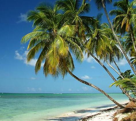 Tobago Islands