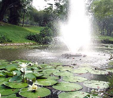 Taman Tasik Perdana, Kuala Lumpur