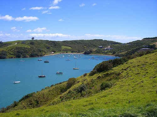 Waiheke Island, Auckland, New Zealand